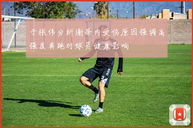 于根伟分析谢蒂内受伤原因强调高强度奔跑对球员健康影响