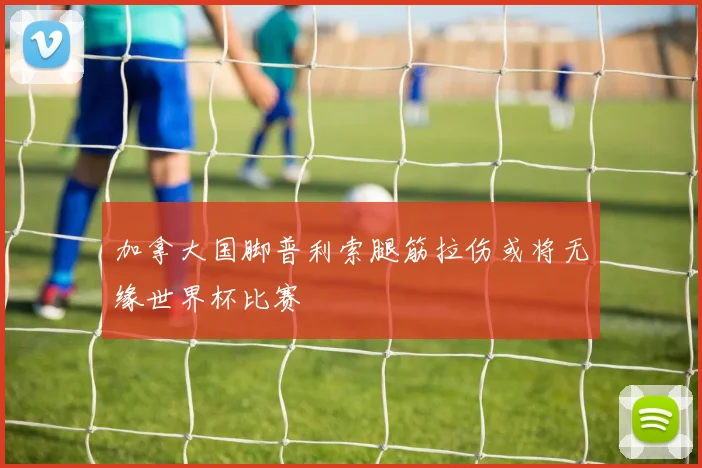 加拿大国脚普利索腿筋拉伤或将无缘世界杯比赛