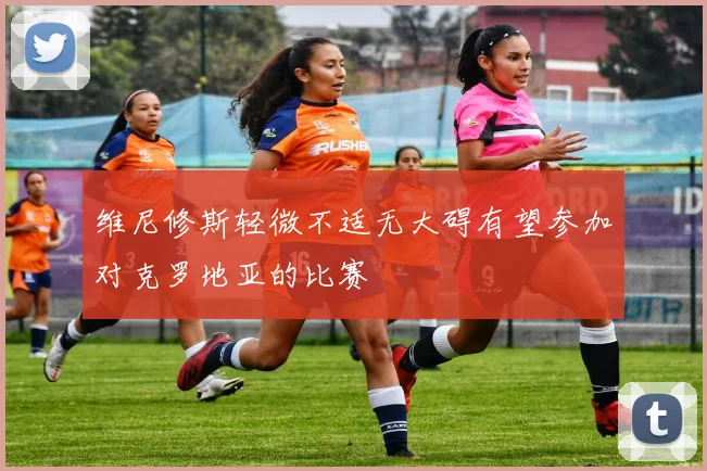 维尼修斯轻微不适无大碍有望参加对克罗地亚的比赛