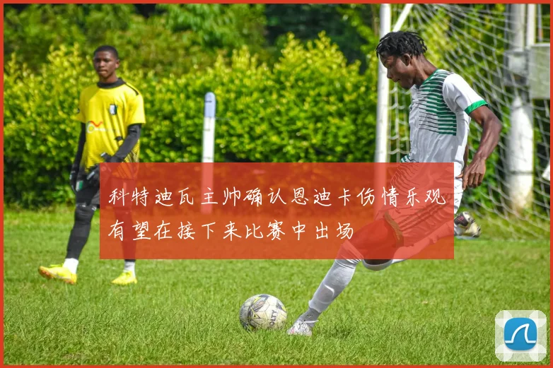 科特迪瓦主帅确认恩迪卡伤情乐观有望在接下来比赛中出场